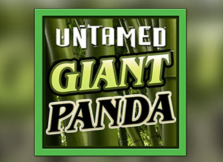 RTP SLOT MICROGAMING